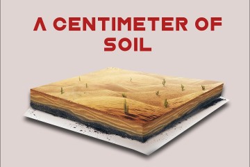 A Centimeter of Soil